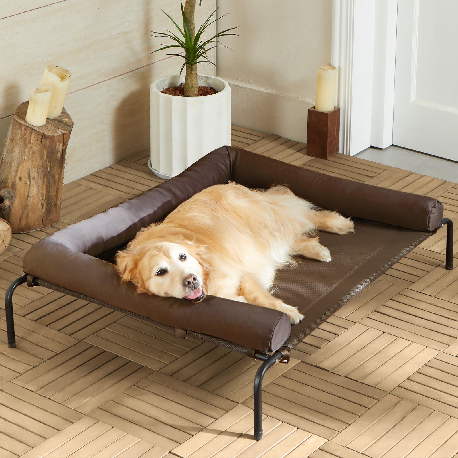 RRPETHOME elevated cooling dog bed shows durable frame and breathable mesh for steady support