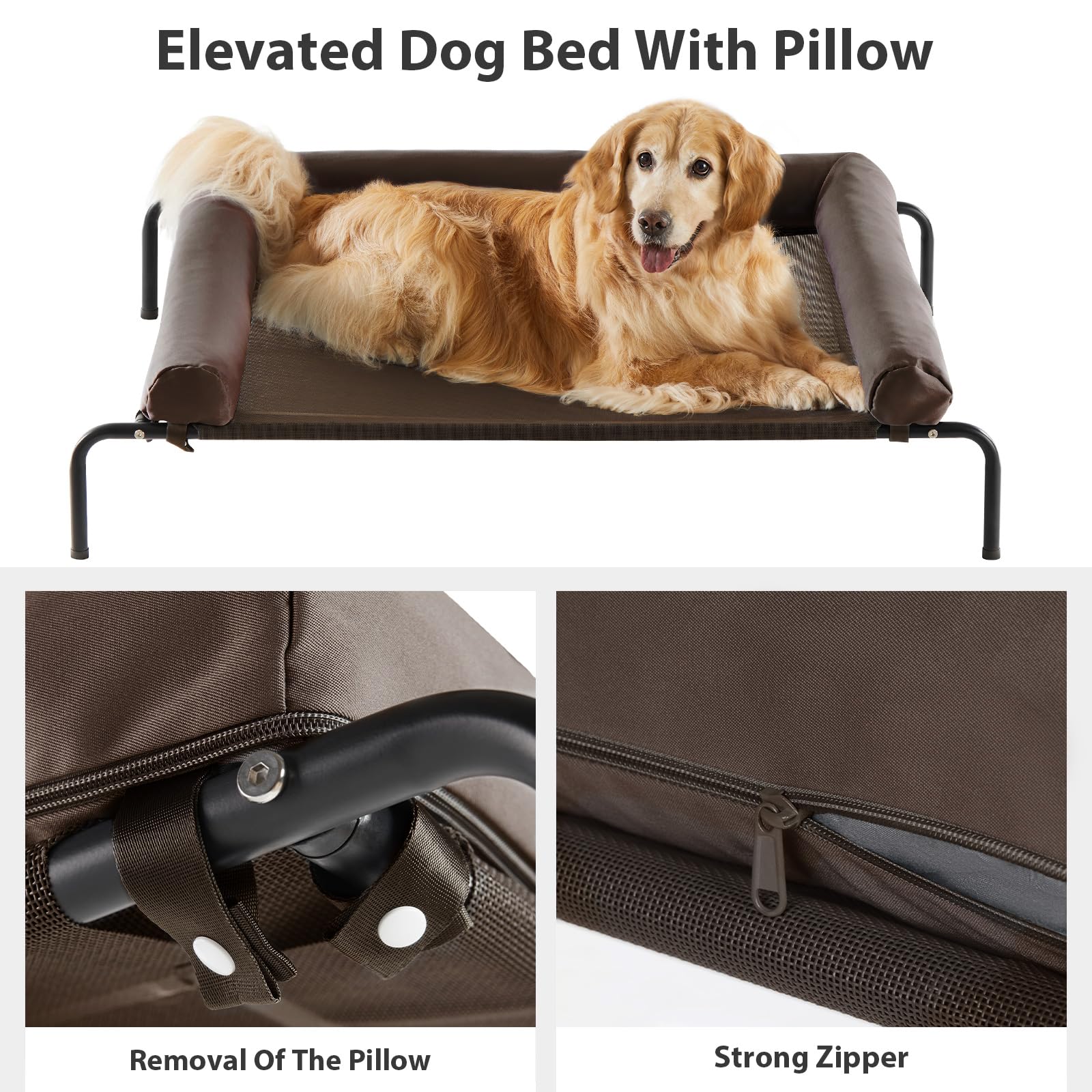 RRPETHOME frame image shows lightweight, strength-tested design supporting up to 100 lbs
