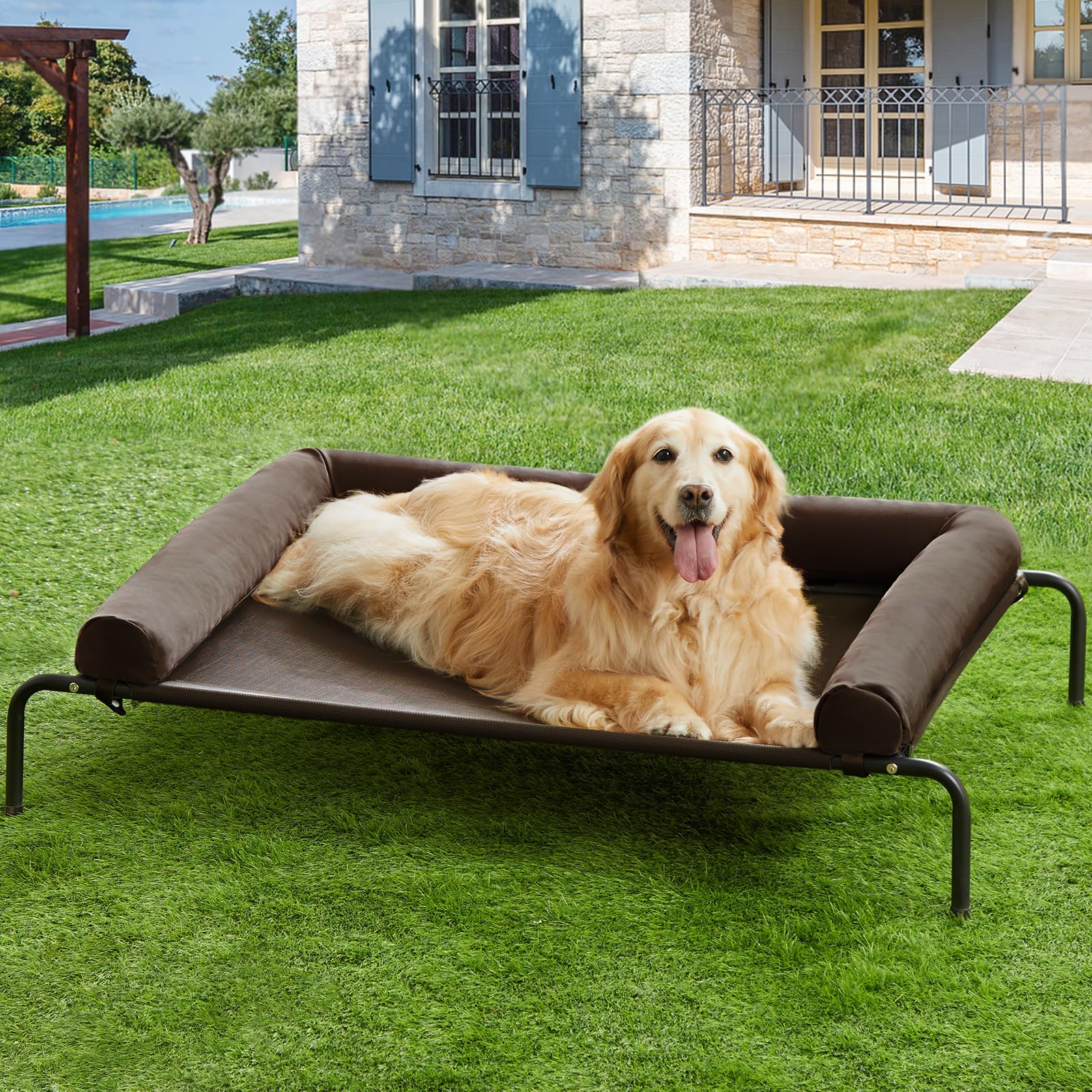 RRPETHOME dog lounging on elevated cot during sunny outdoor setup.