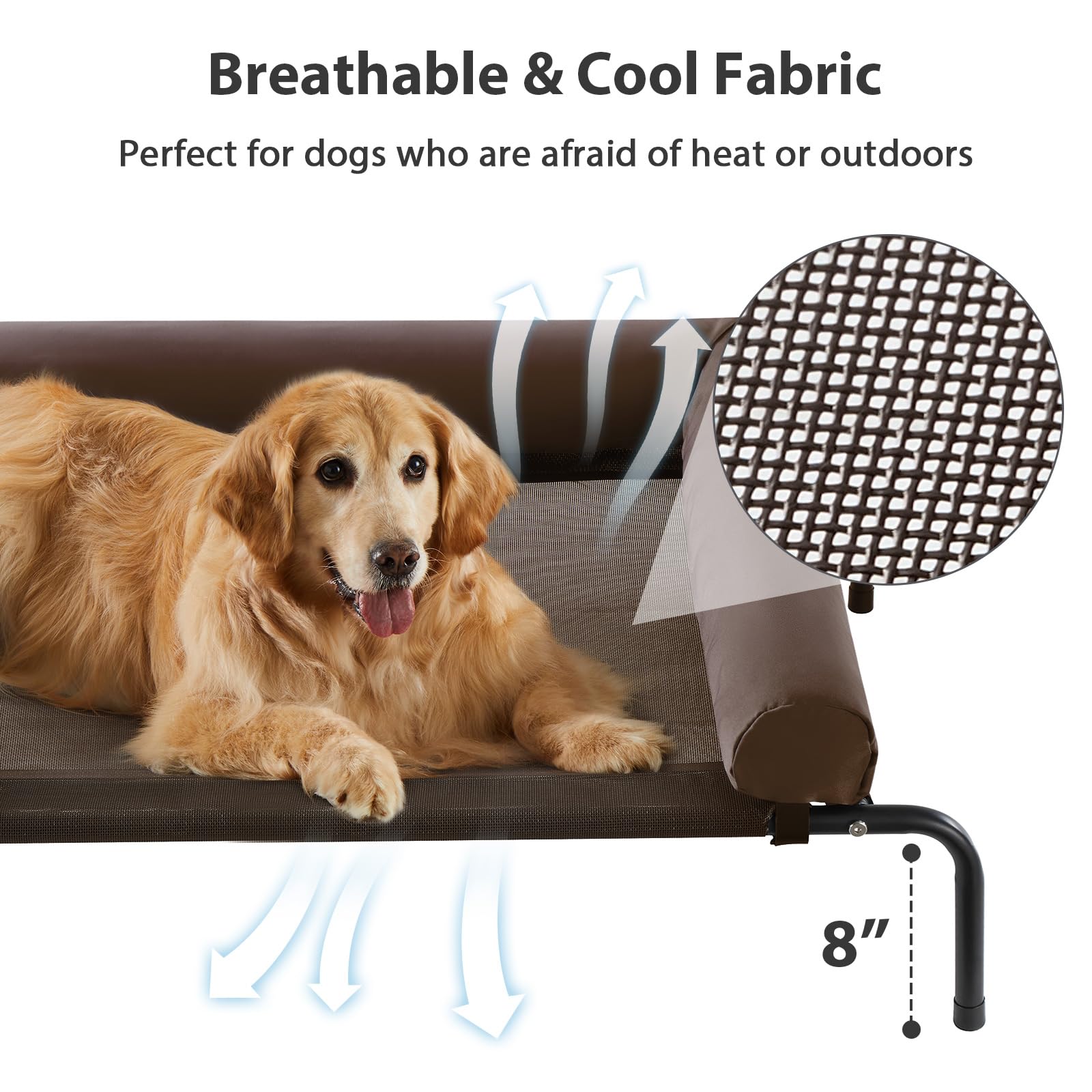 RRPETHOME U-shaped pillow with buttons for secure curl-up support.