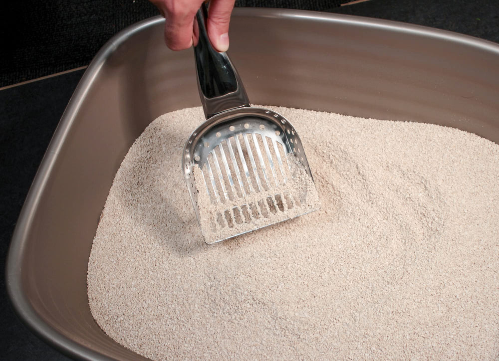RSVP Endurance kitty scoop stainless steel construction ensures durability.