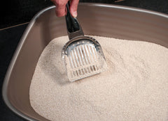 RSVP Endurance kitty scoop stainless steel construction ensures durability.