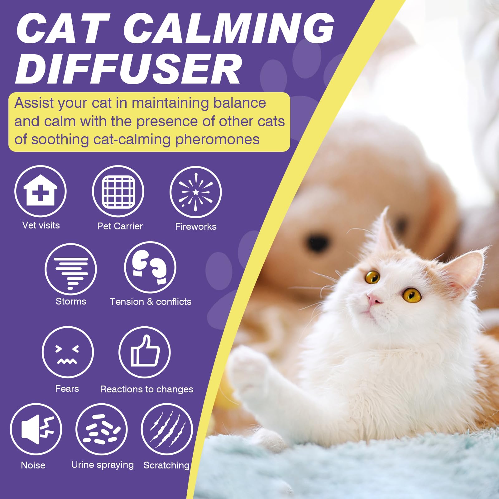 RUAKPL cat pheromone diffuser refill kit on countertop display for easy storage