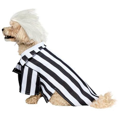 Rubies Beetlejuice pet costume on-pet display showing Beetlejuice vibe