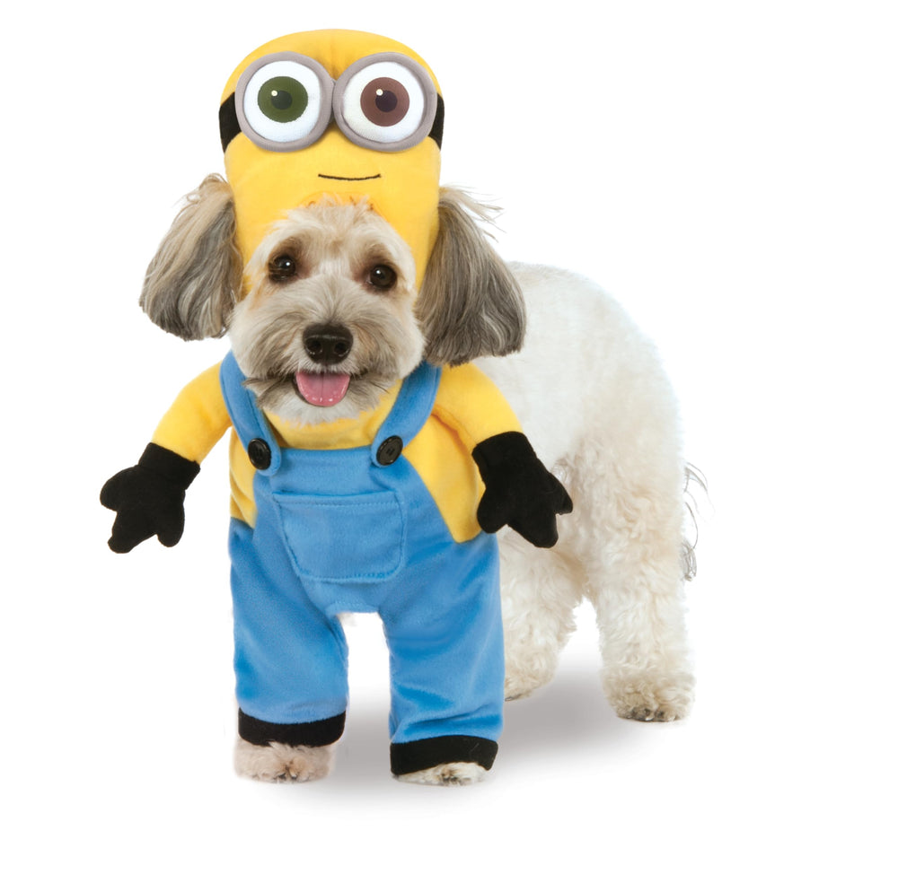 Rubies Despicable Me Minion Bob pet costume walking with plush arms for cute photo opportunities.