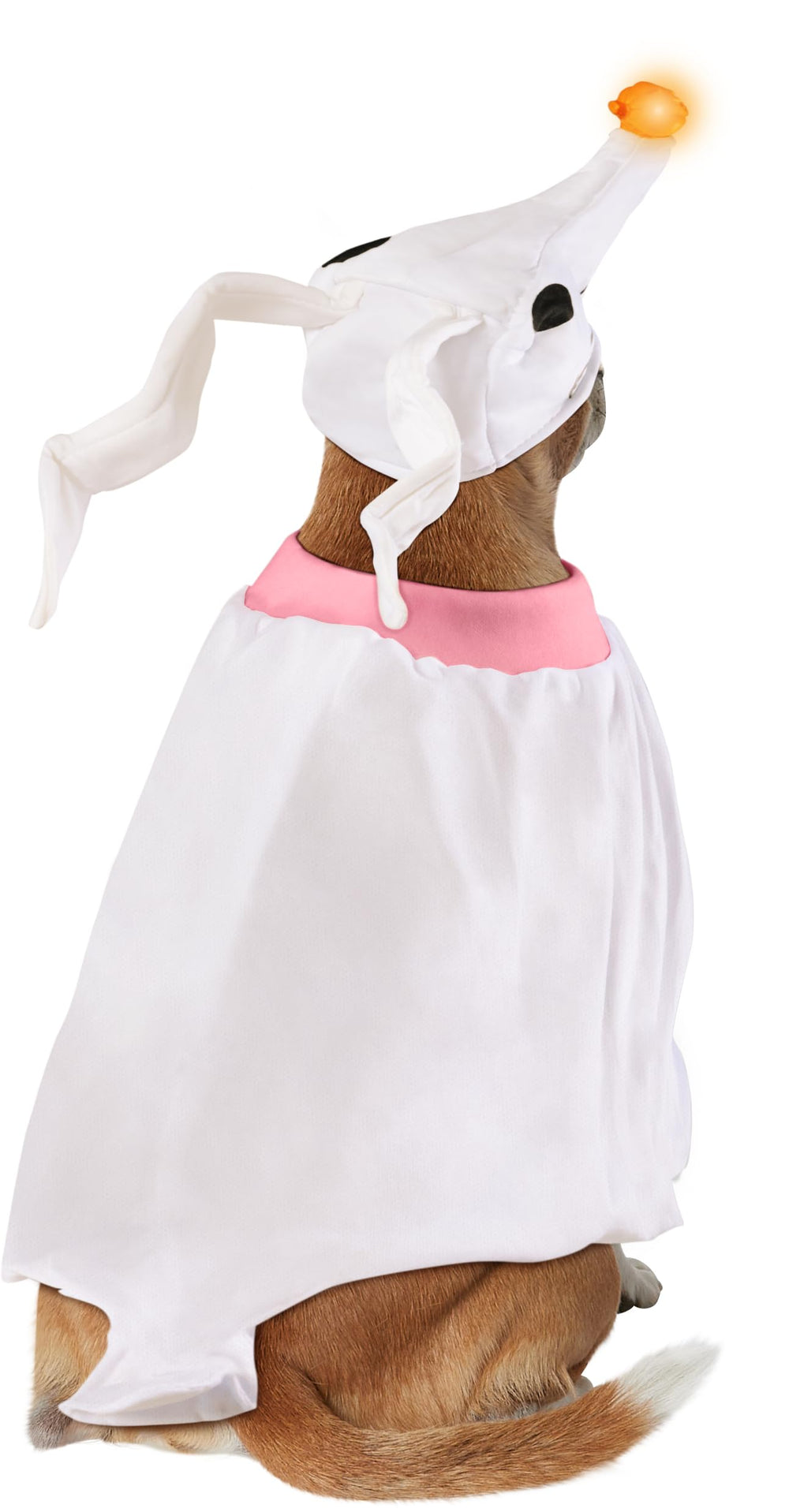 Rubies Disney Zero pet costume in action on a curious pup.
