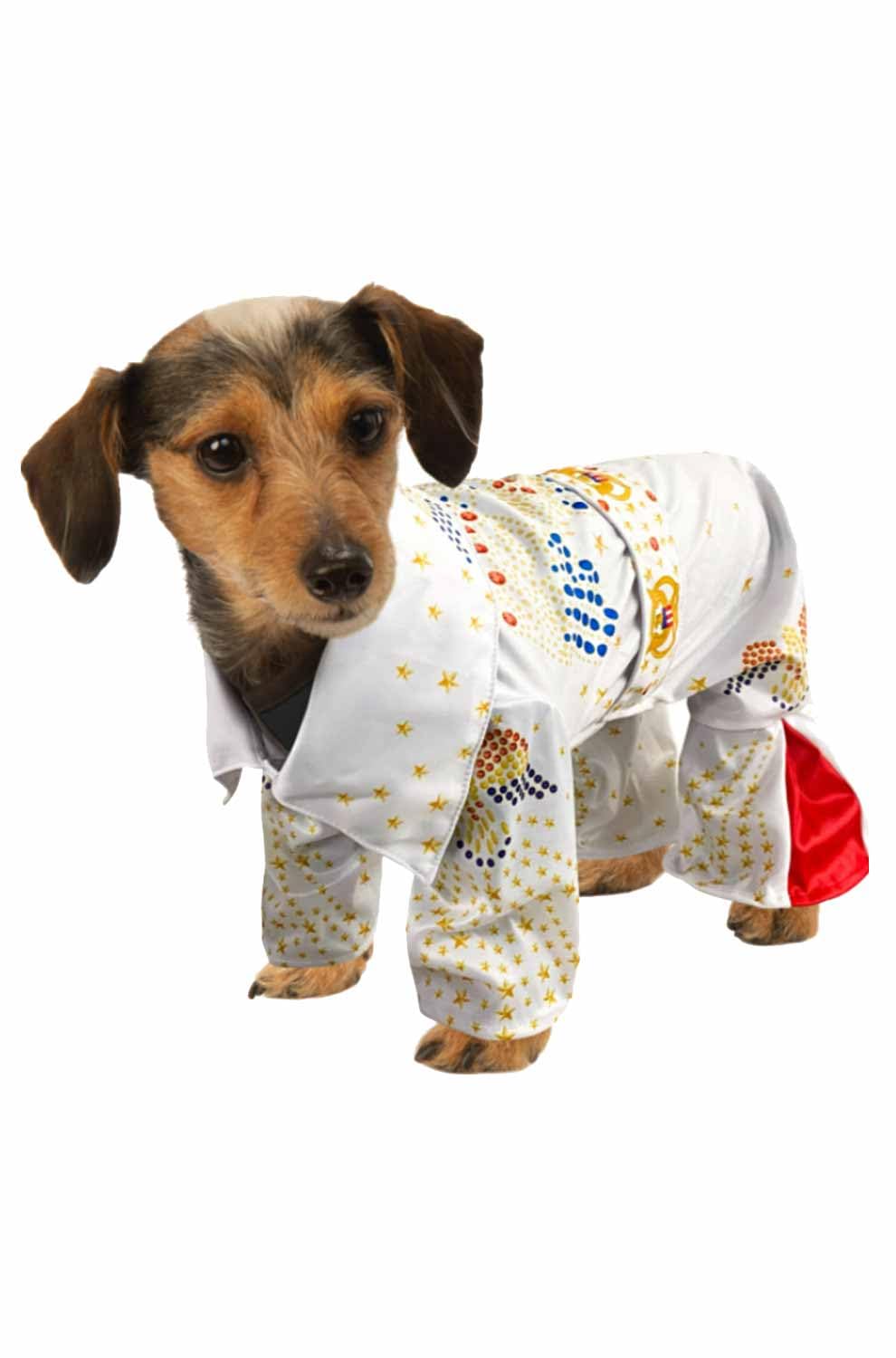 Rubies Elvis Presley pet costume on a dog or cat, ideal for parties and photo opportunities.