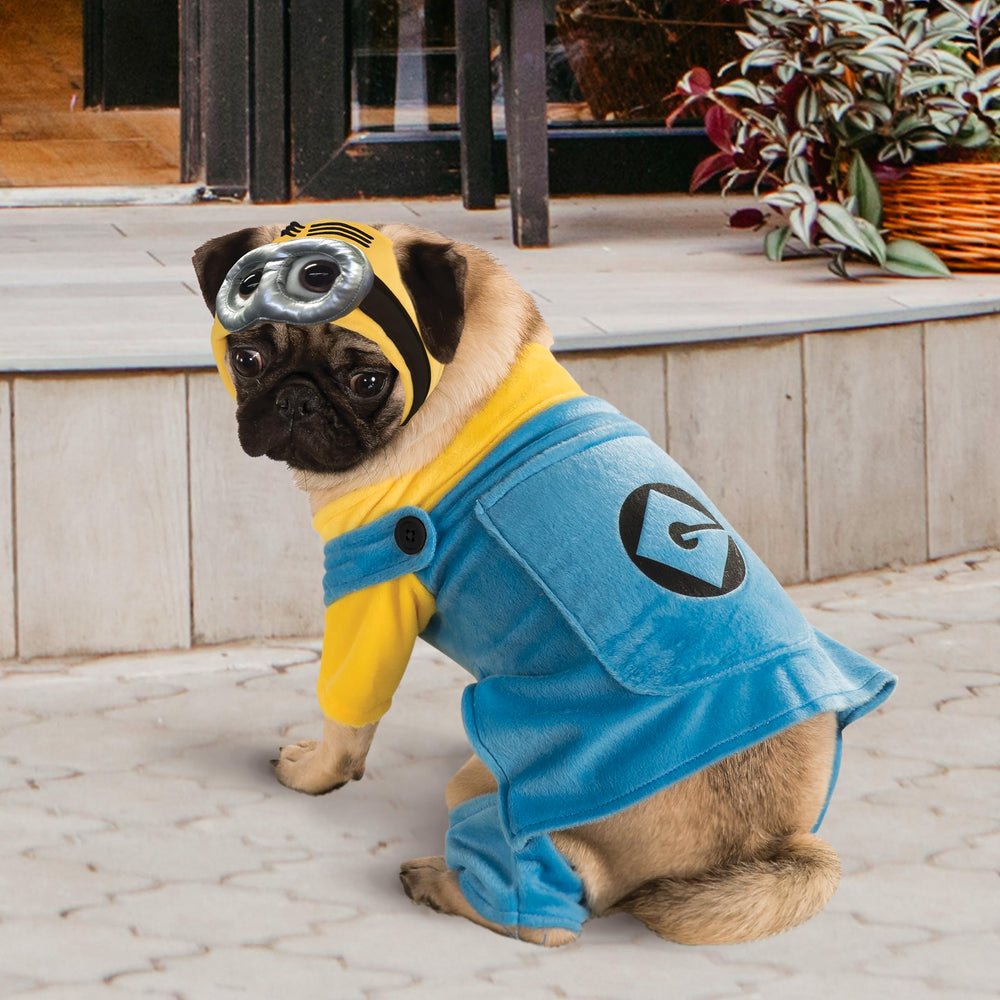 Rubies Minion costume for dogs and cats ready for Halloween and parties