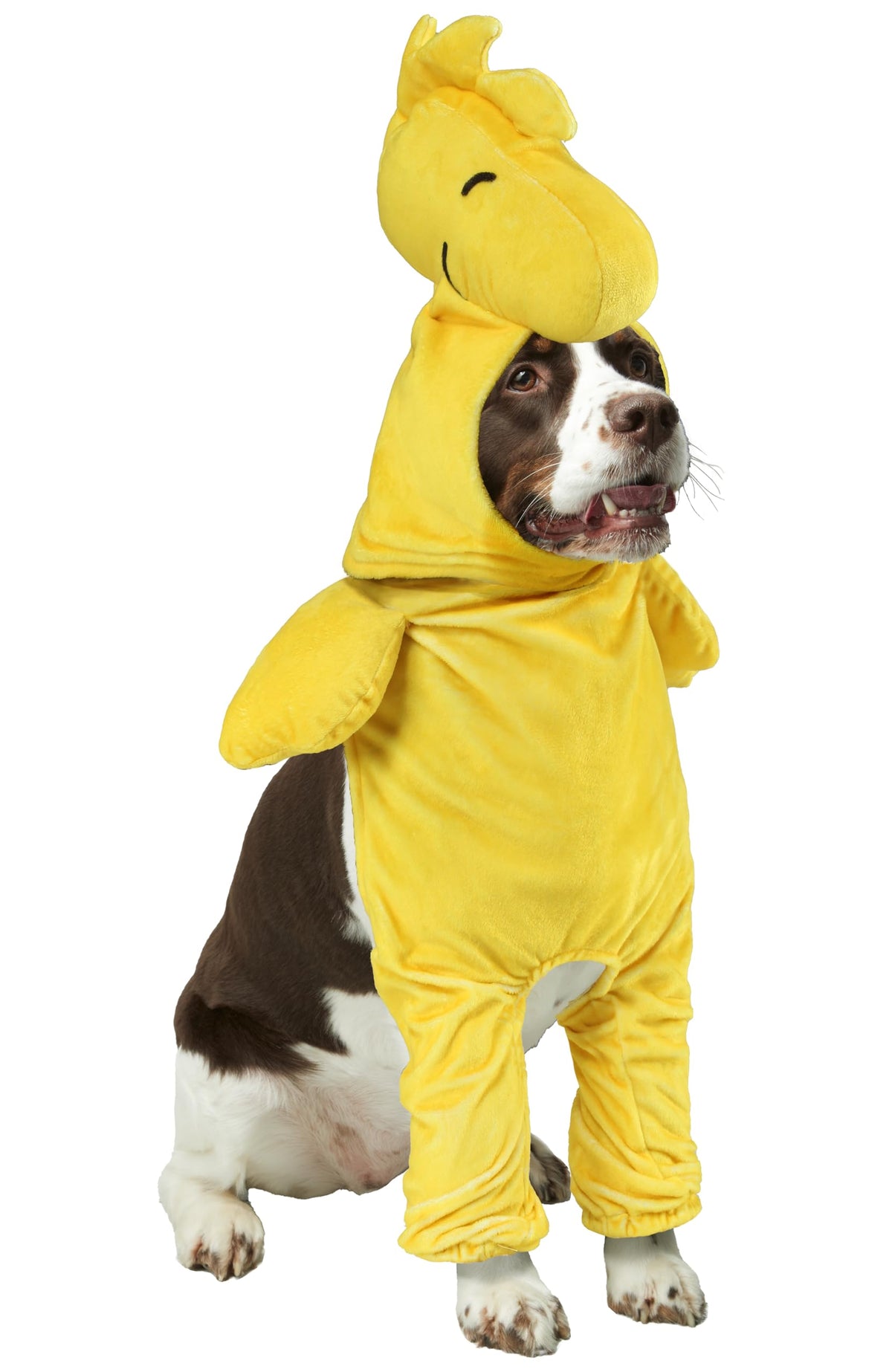 Rubies Woodstock walkie pet costume headpiece enhances playful Halloween photo moments.