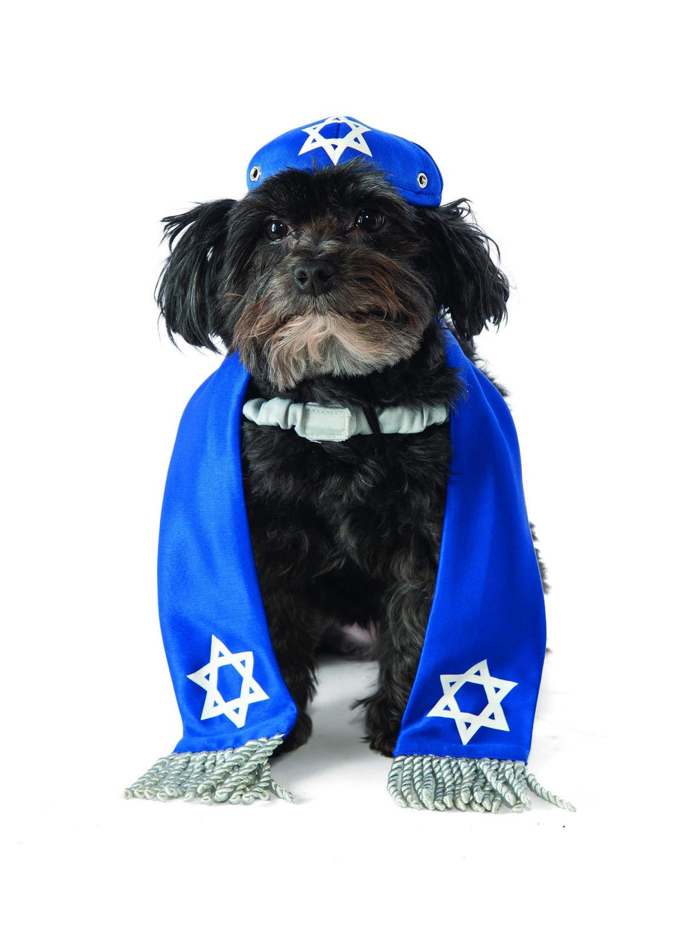 Rubies Yarmulke-Tallis Pet Set on a pet for festive photo moments
