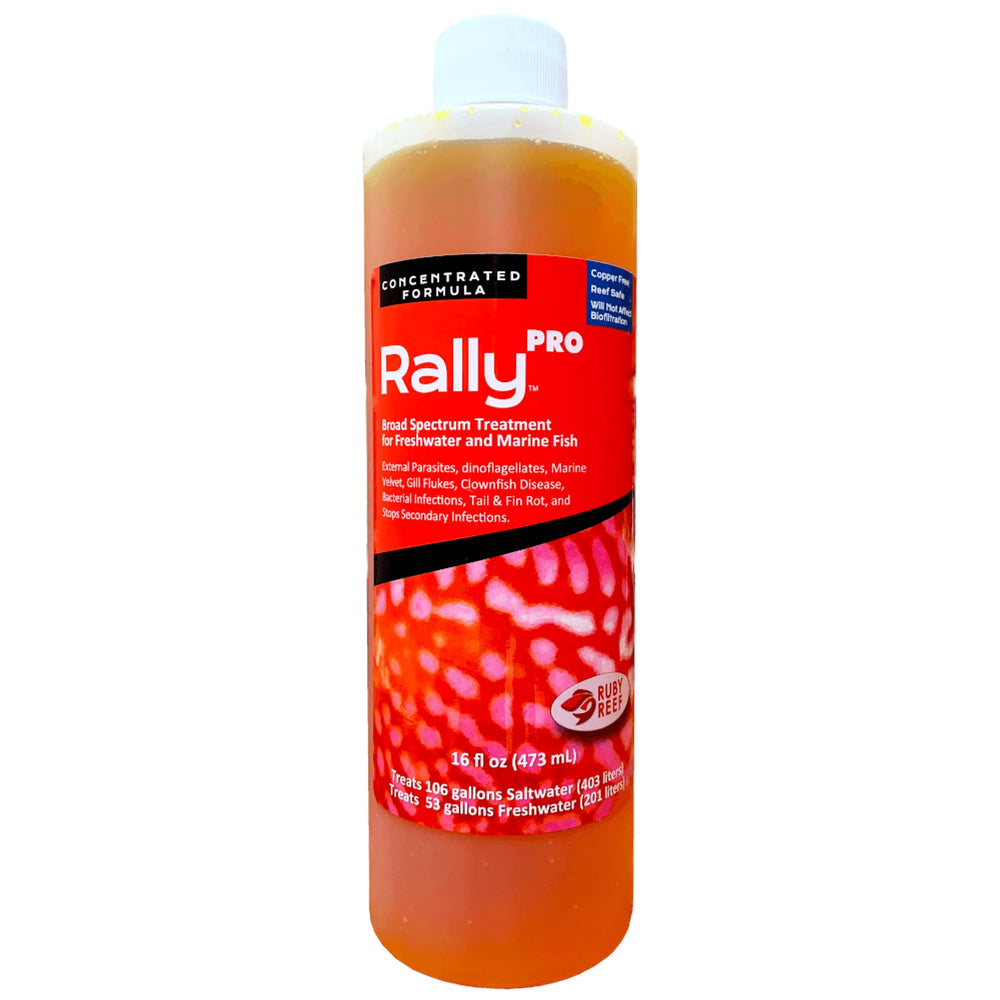 Ruby Reef Rally Pro in-tank application for parasite management in fish