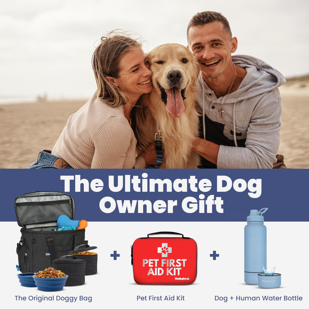 Rubyloo Doggy Bag lifestyle shot on a dog road trip.