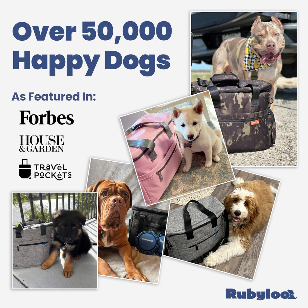 Rubyloo Doggy Bag's pockets and dividers keep gear neatly organized on trips.