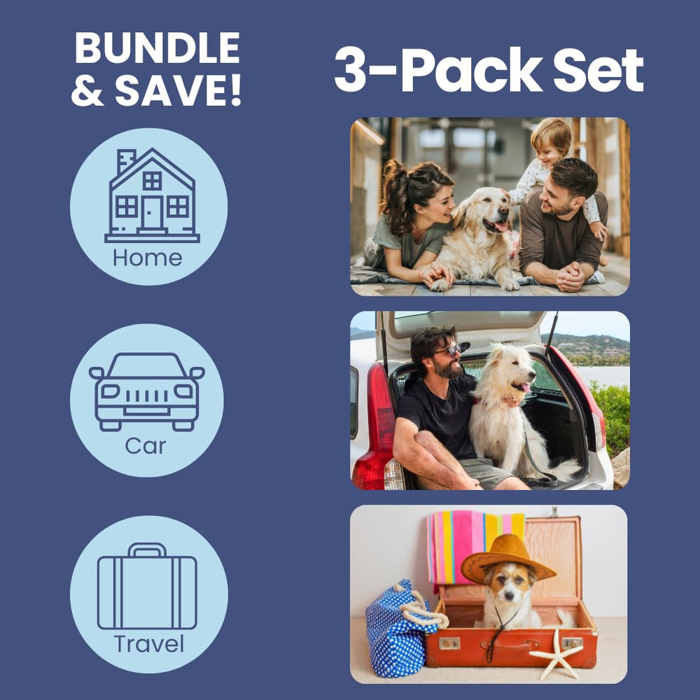 Rubyloo hard-sided dog first-aid kit car RV setup keeps supplies secure