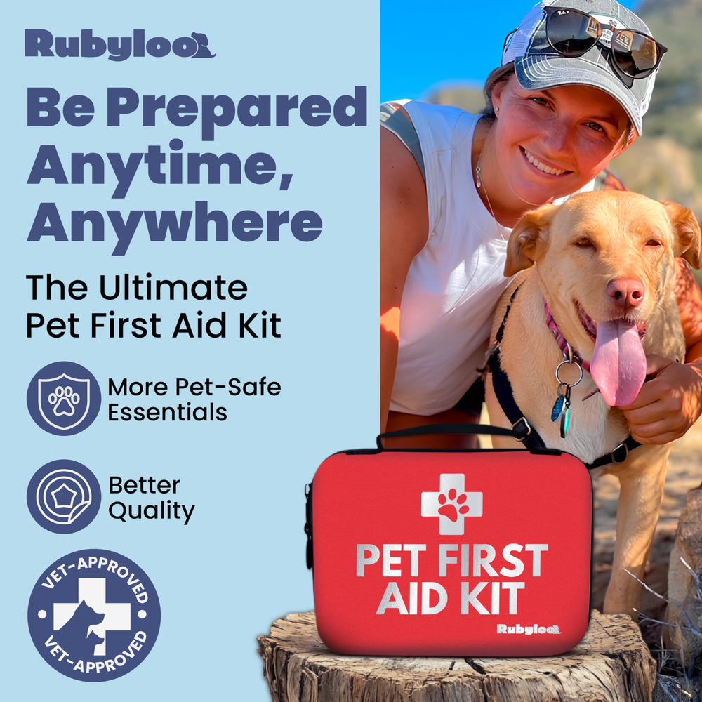 Rubyloo hard-sided dog first-aid kit opened to reveal organized contents