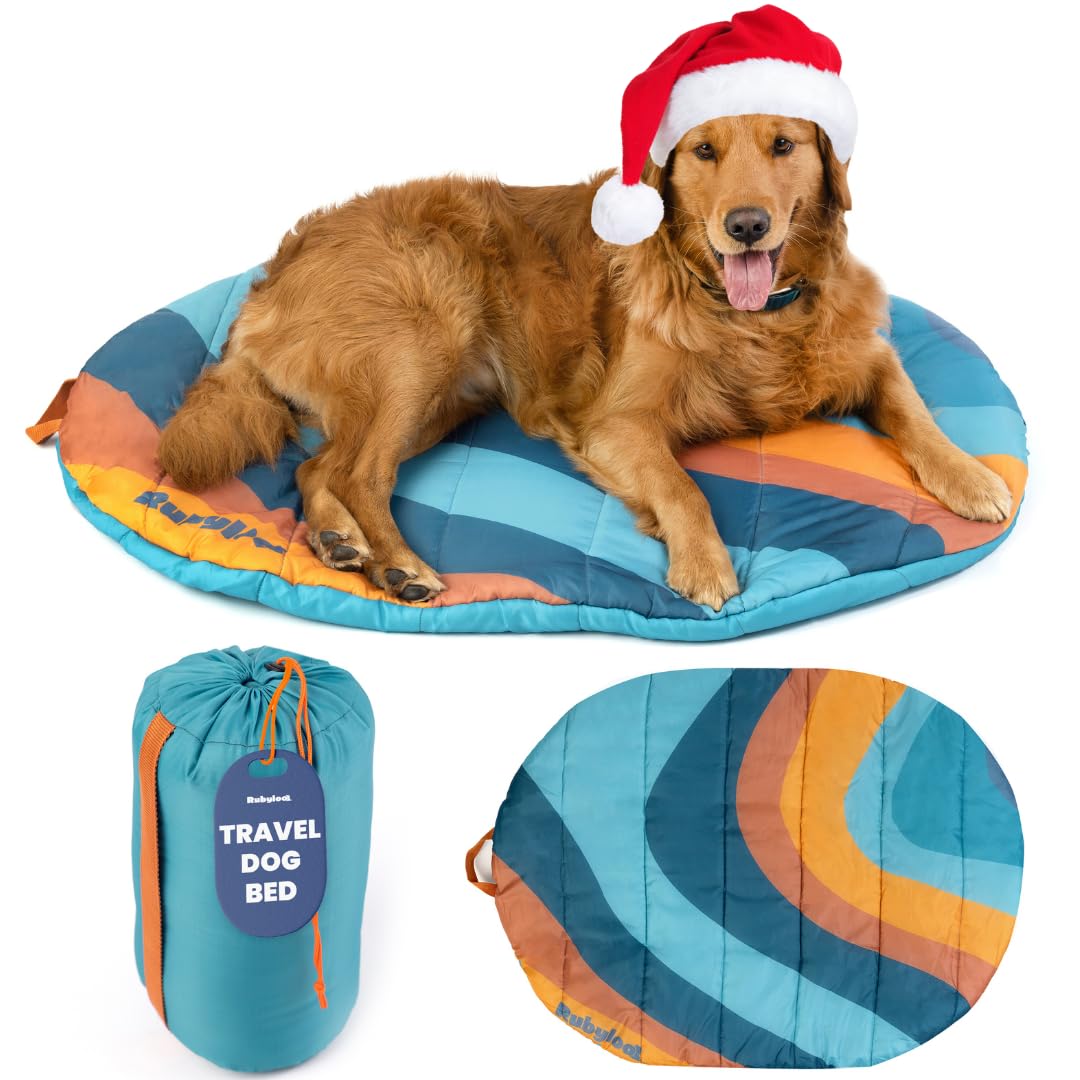 Rubyloo Travel Dog Bed teal folded for compact portability on trips.