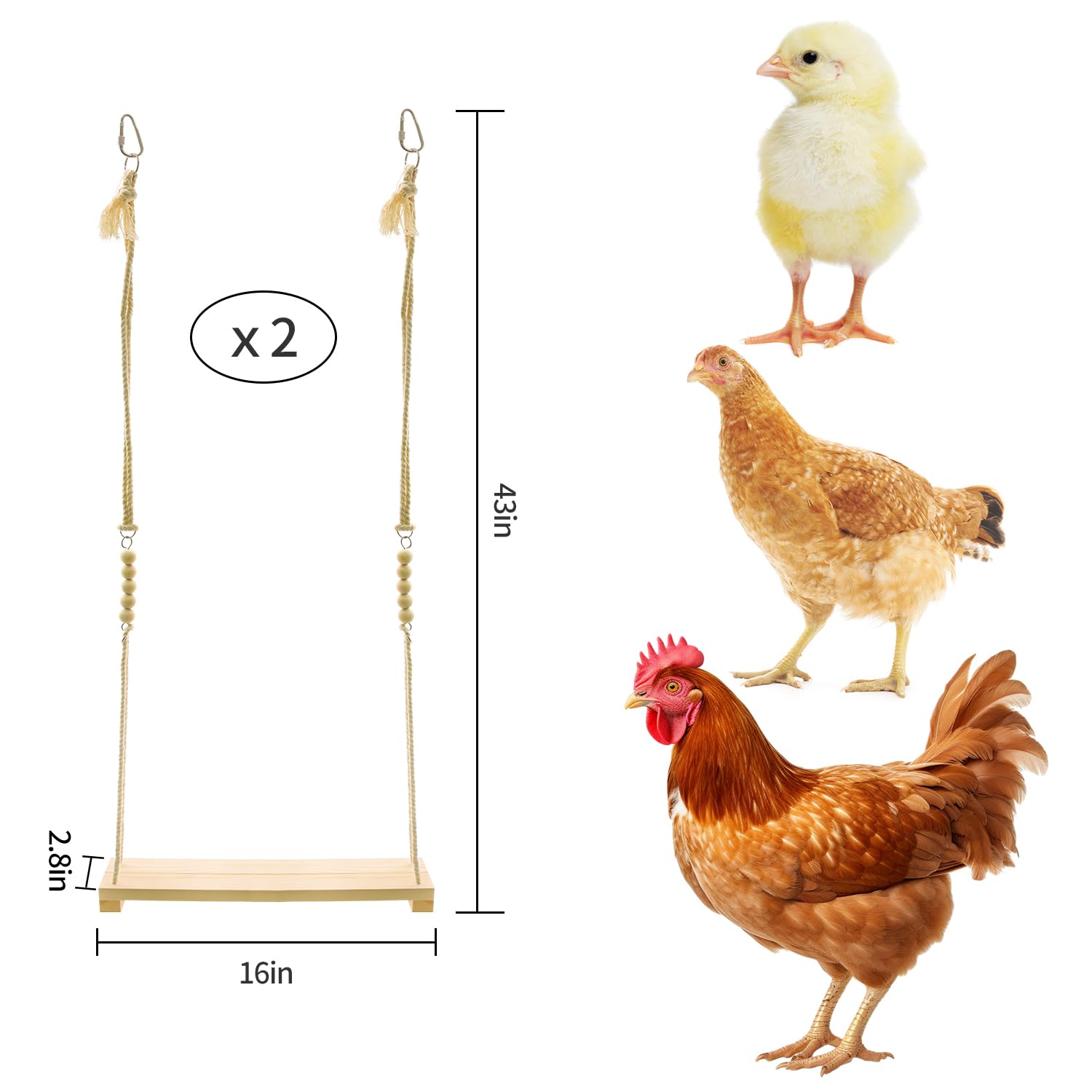 RubyQ chicken swing toy cotton rope detail emphasizes durable attachment.
