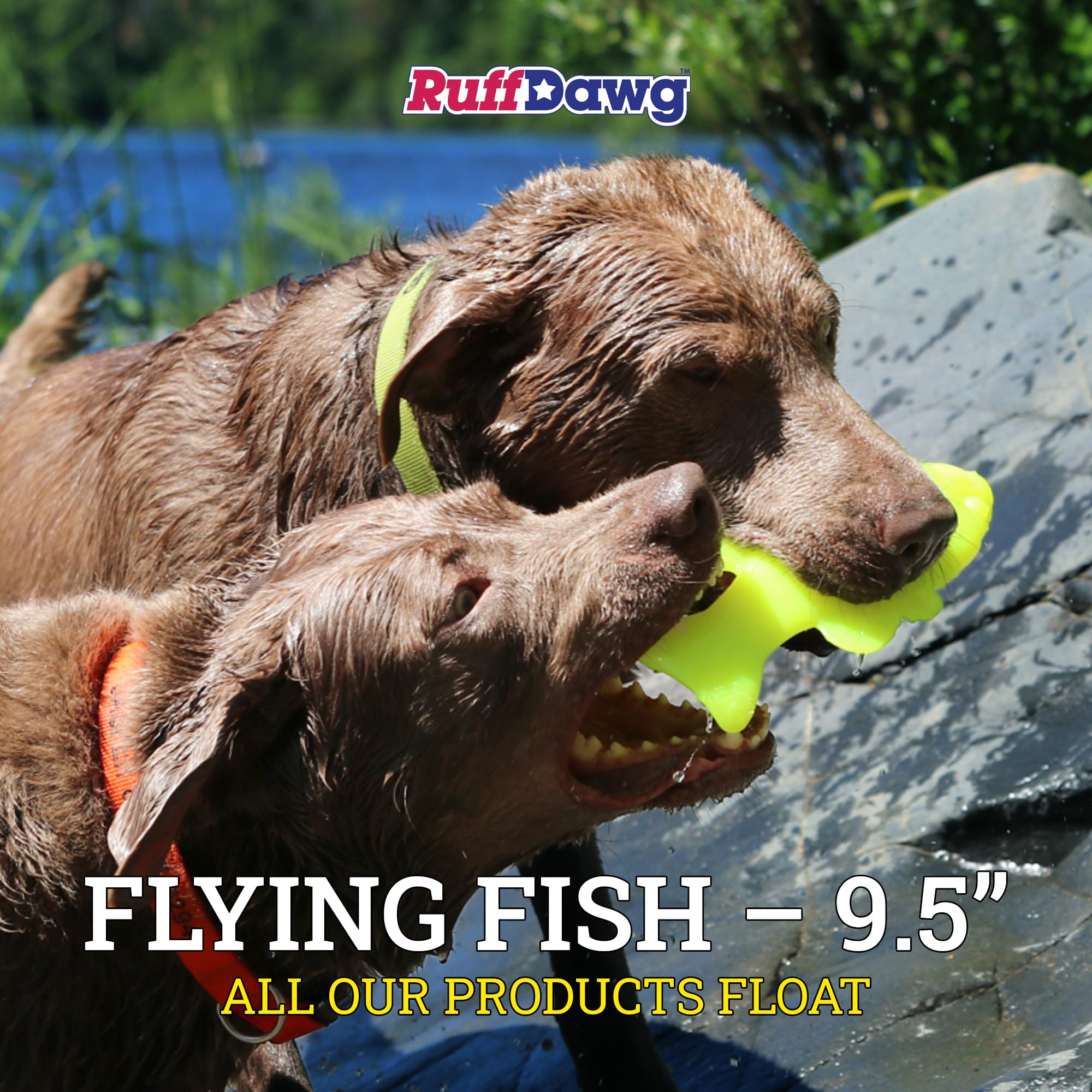 Ruff Dawg Flying Fish diseño divertido que invita a la persecución.