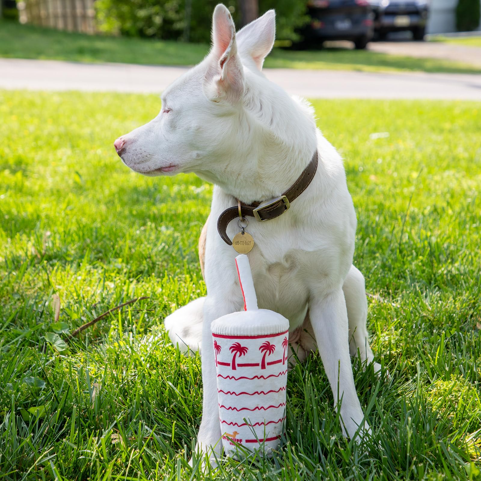 RUFF PUFF Palm Cup Toy is durable enough for daily chewing and play.