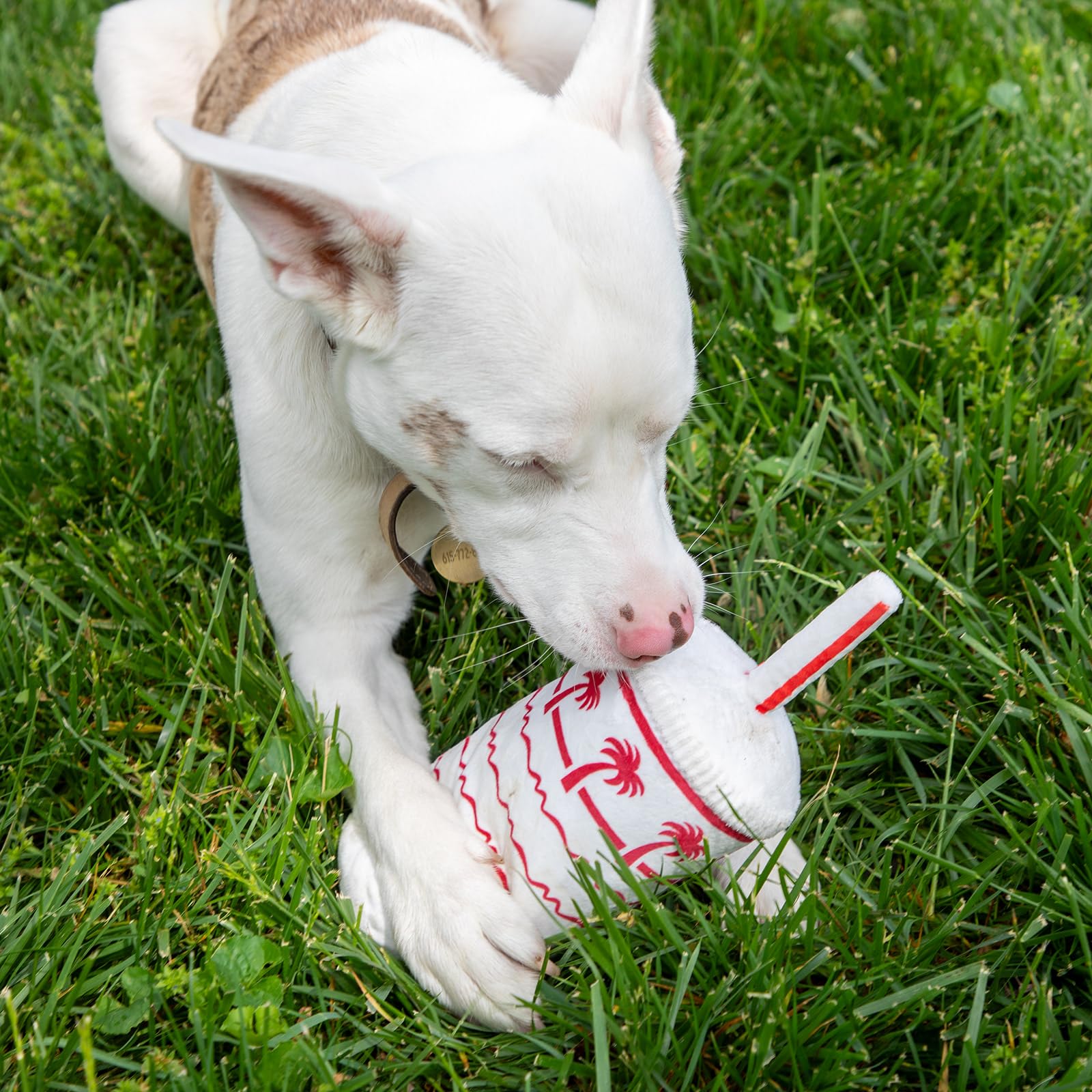 RUFF PUFF Palm Cup Toy features ultra-soft plush fabric that's pet-friendly.