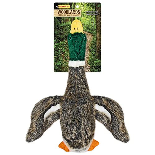 Ruffin' It Woodlands Mallard plush dog toy in use during a game of fetch.