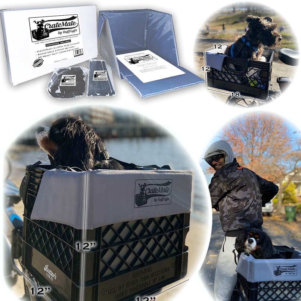 RuffLyfe CrateMate front-mount view demonstrates secure, stable dog travel on a bicycle