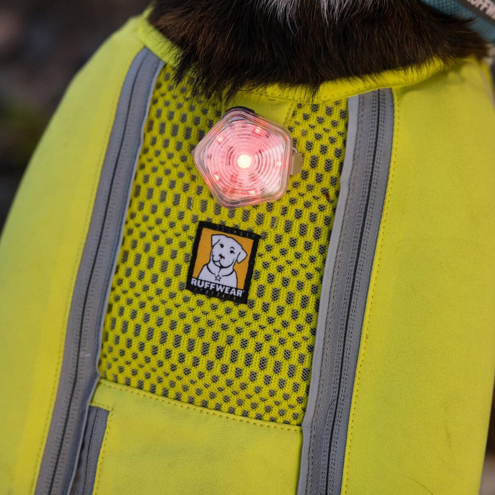 Ruffwear Beacon waterproof design keeps a dog visible in rain