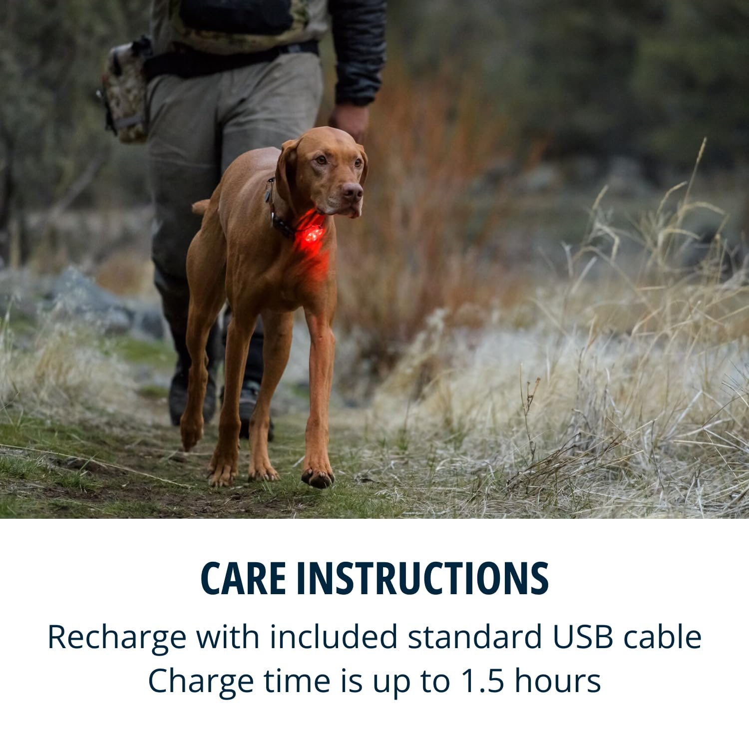 Ruffwear Beacon light shows three modes for day or night