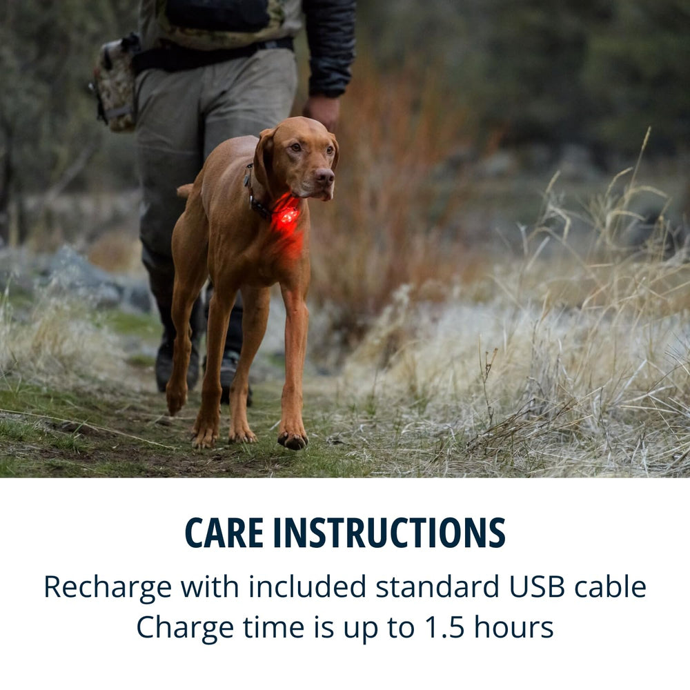 Ruffwear Beacon light shows three modes for day or night