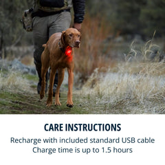 Ruffwear Beacon light shows three modes for day or night