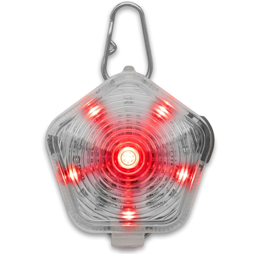 Ruffwear Beacon safety light worn on a dog for nighttime visibility
