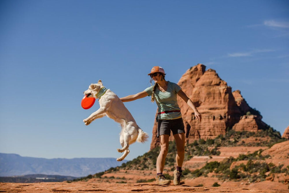 Ruffwear Camp Flyer bright Sumac color aids visibility during fetch.