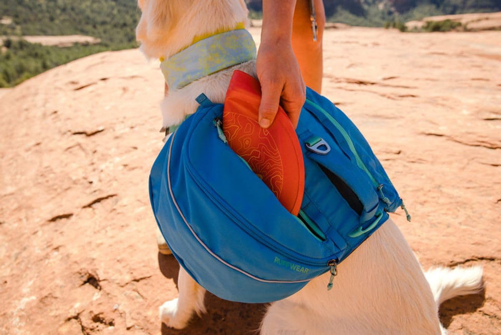 Ruffwear Camp Flyer high-contrast colors help tracking in brush.