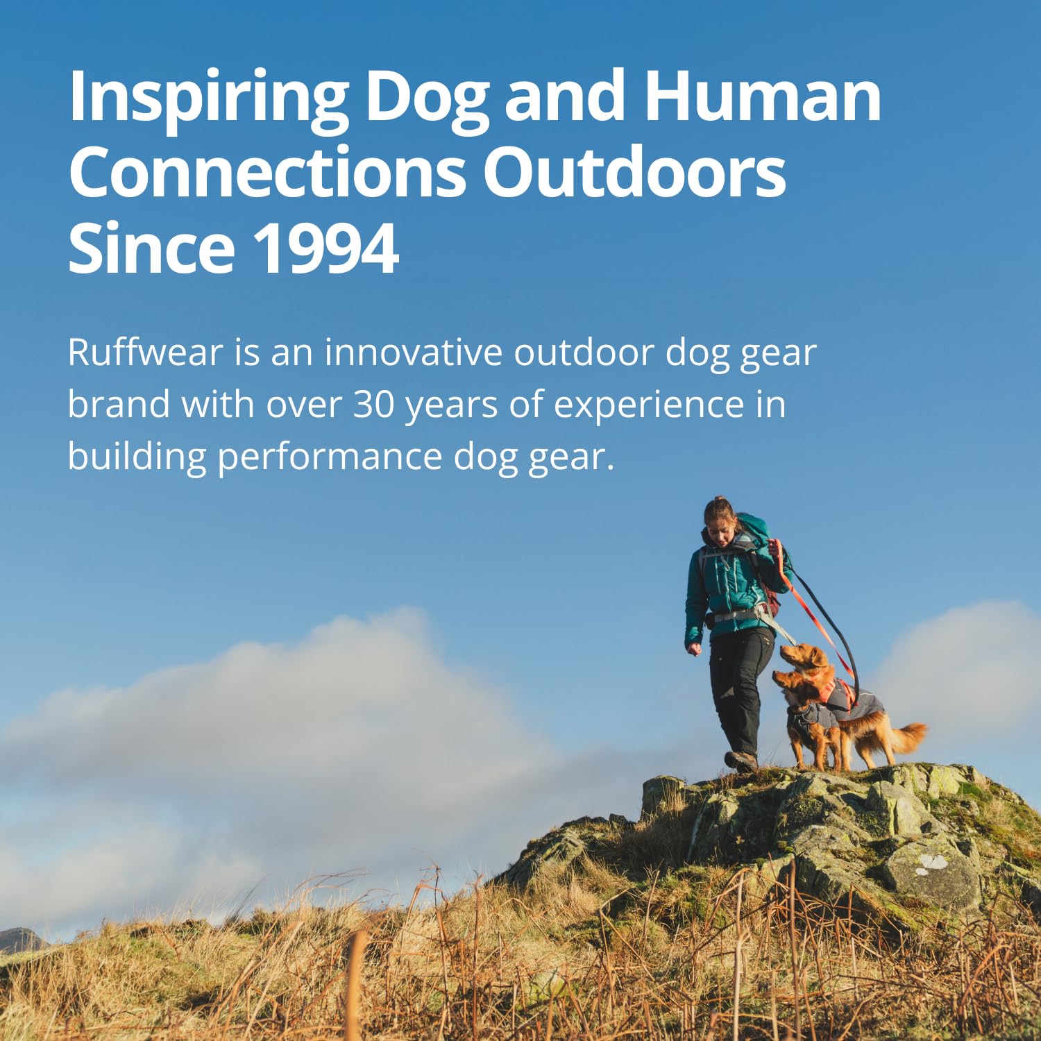 Ruffwear Climate Changer Strata small fit for compact dogs