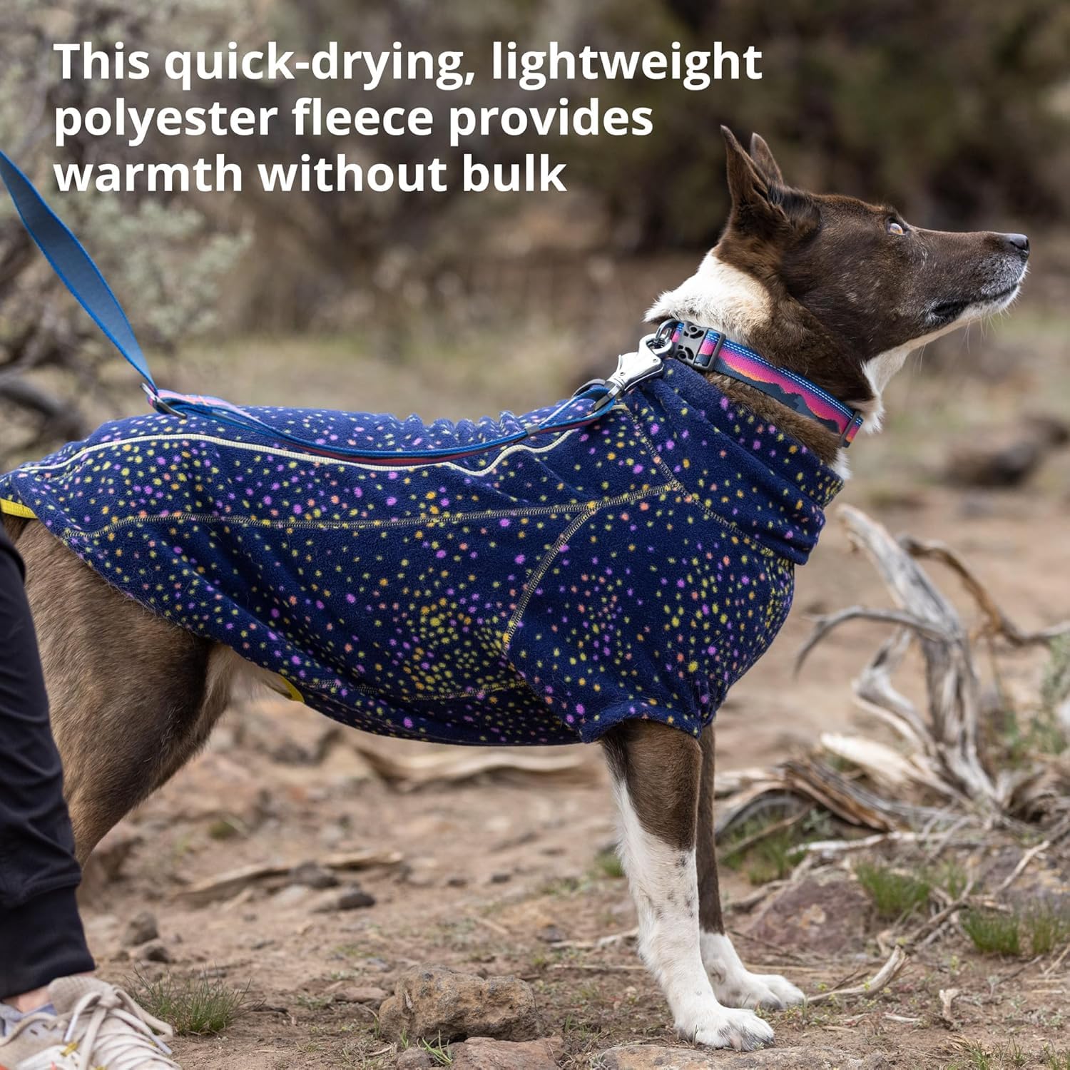 Ruffwear Climate Changer reflective trim visible on dusk walk
