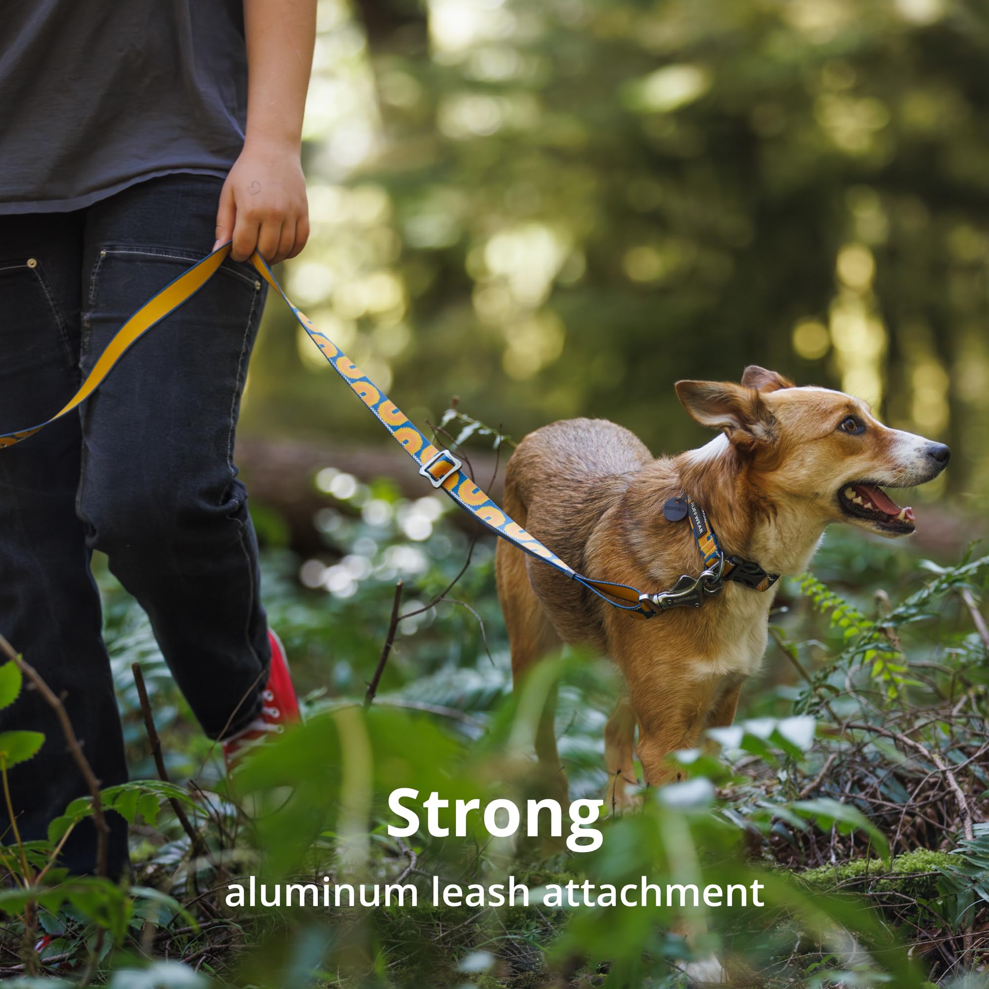 Ruffwear Crag Collar anodized V-ring detail for secure leash attachment.