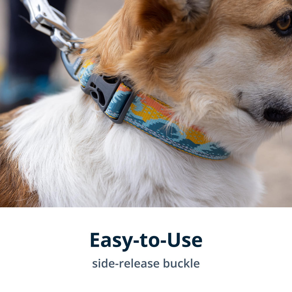 Ruffwear Crag Collar lightweight all-day comfort during long hikes.