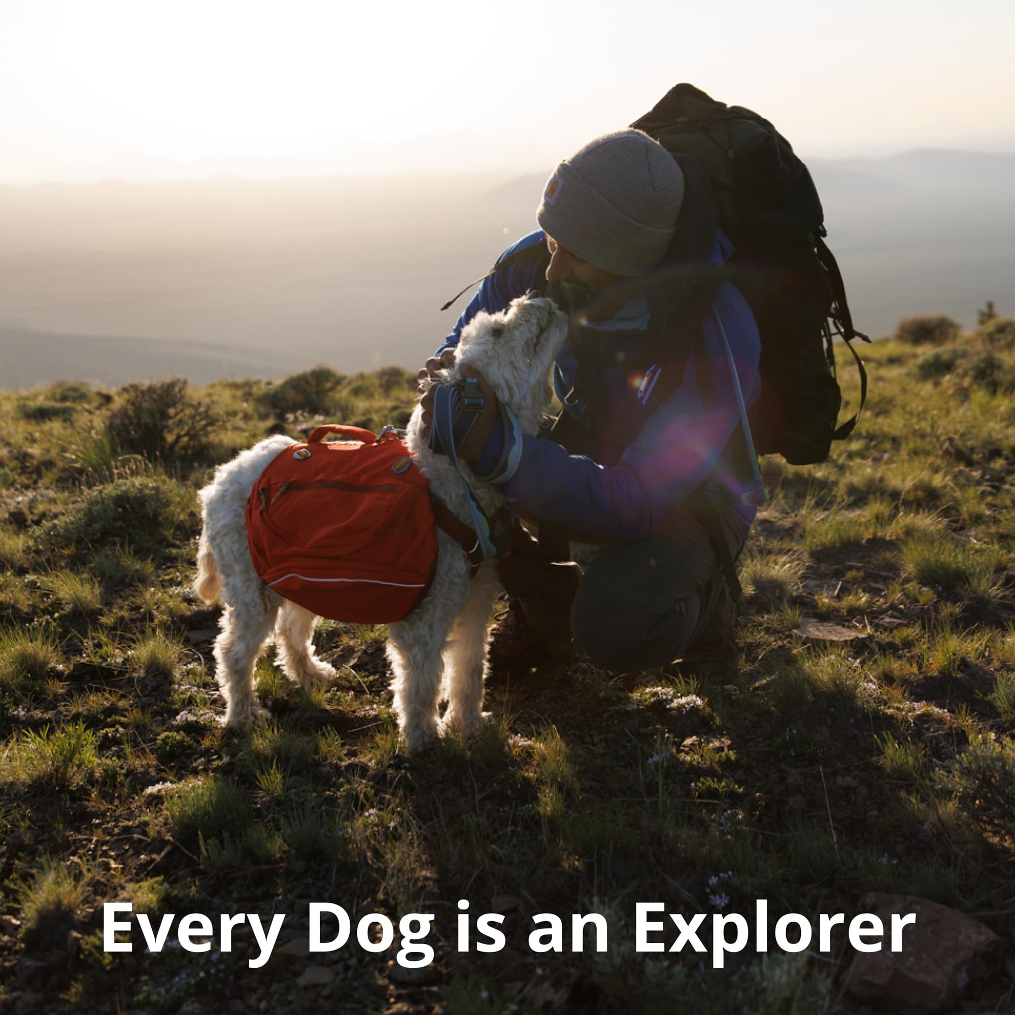Ruffwear Crag Collar on dog in a trail setting illustrating comfortable fit.