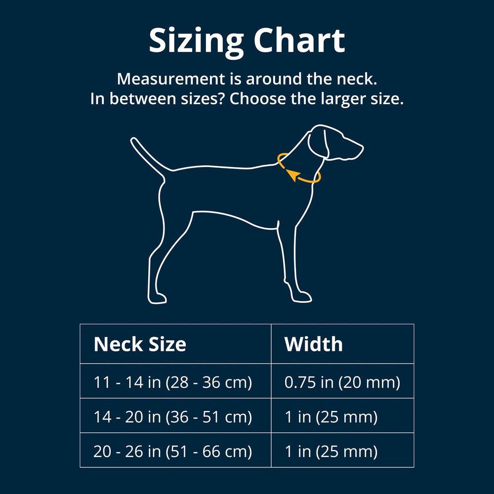 Ruffwear Crag Collar quick-release buckle in action during a hike