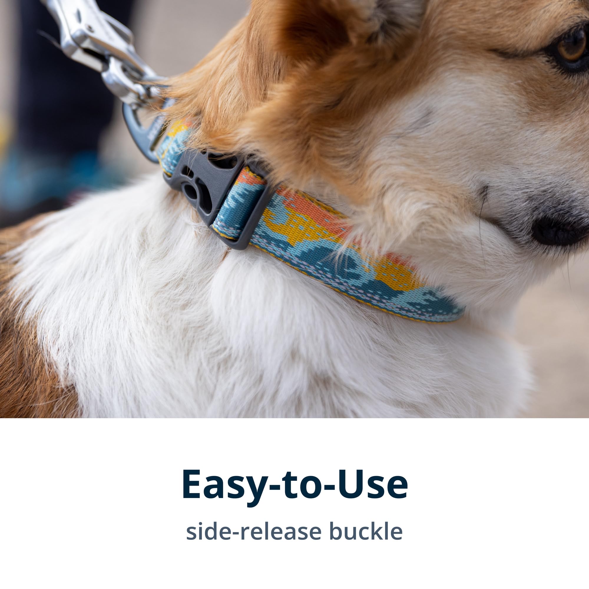 Ruffwear Crag Collar Tubelok webbing detail with recycled content accent