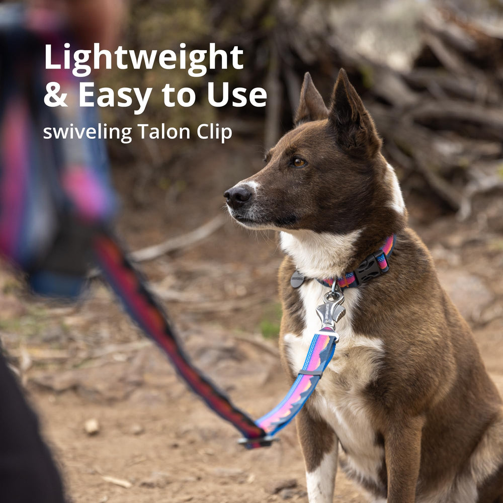 Ruffwear Crag Ex Leash accessory-loop enables lightweight bag or item carry during hikes