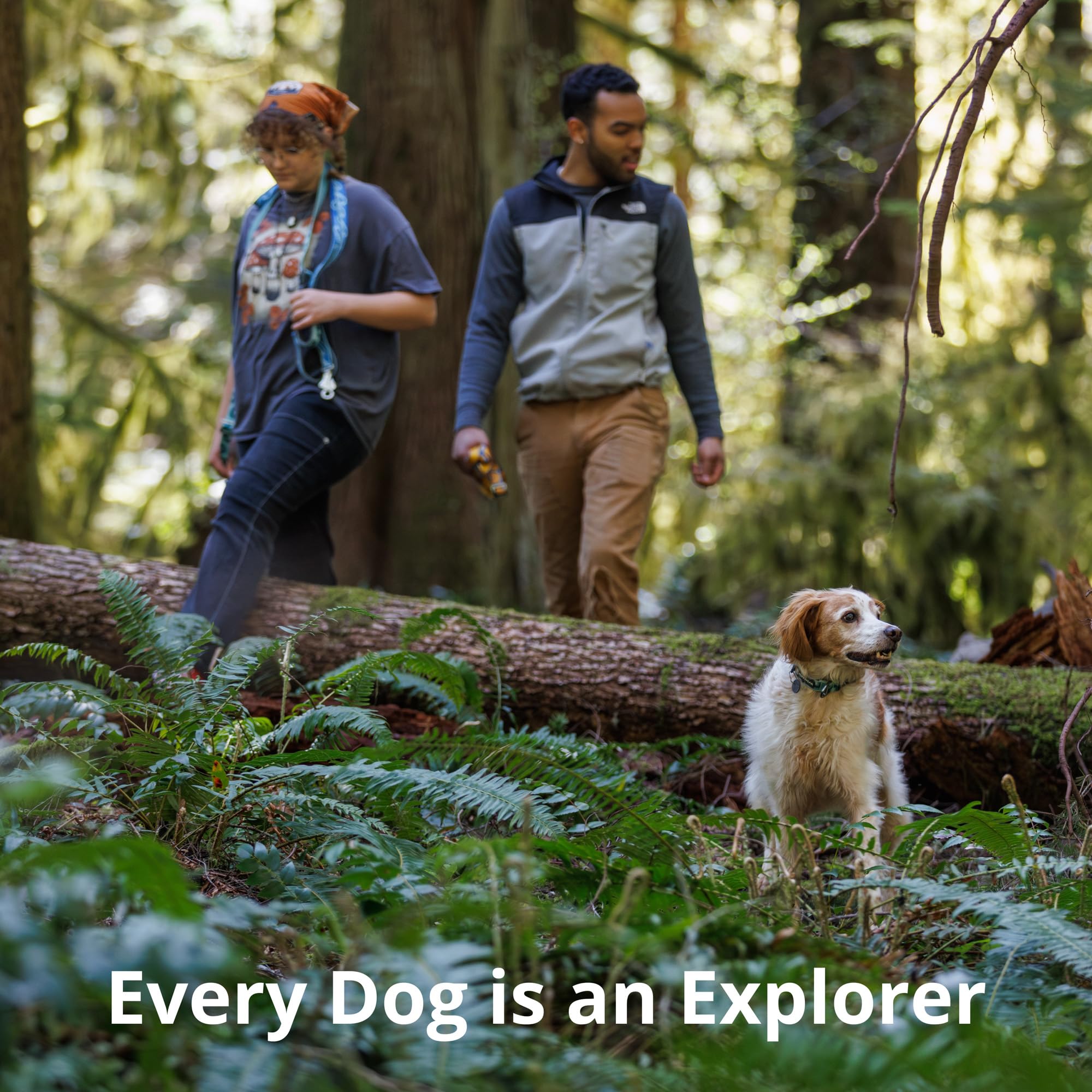 Ruffwear Crag Ex Leash in-action-park captures real-world use during city park visits and trails
