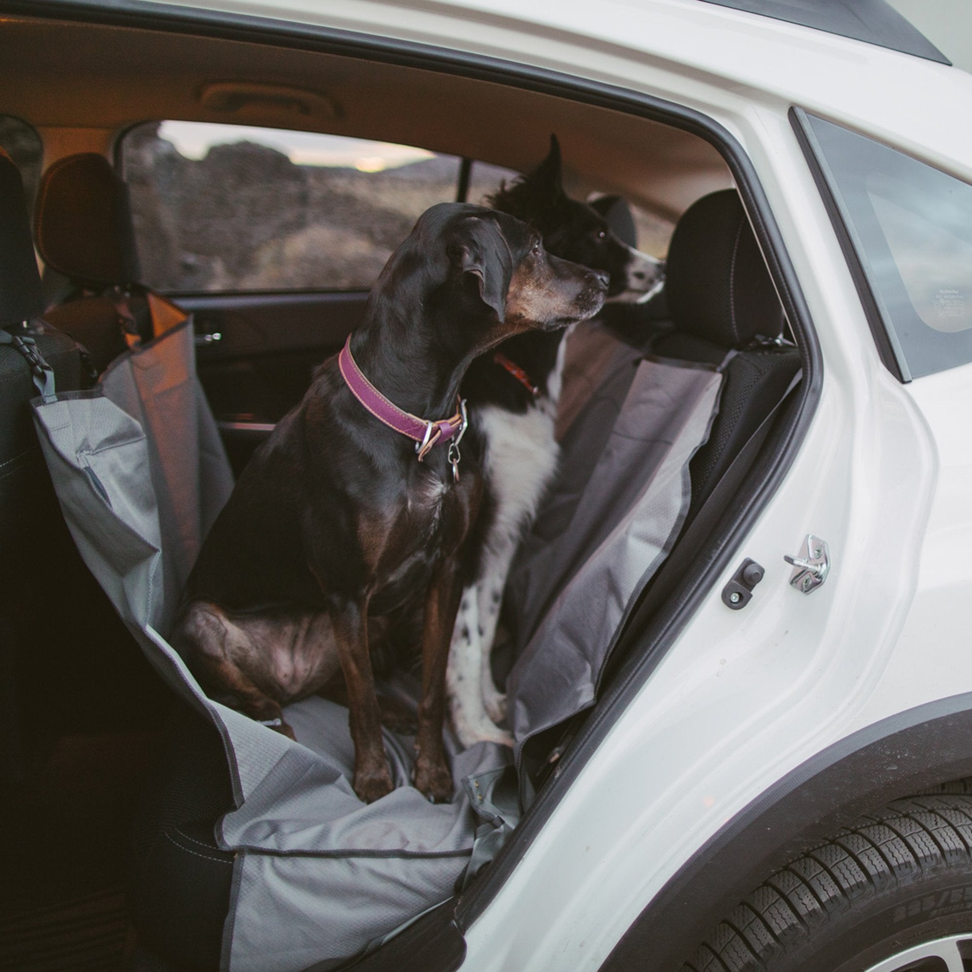 Ruffwear Dirtbag easy-cleaning label demonstrates machine wash compatibility