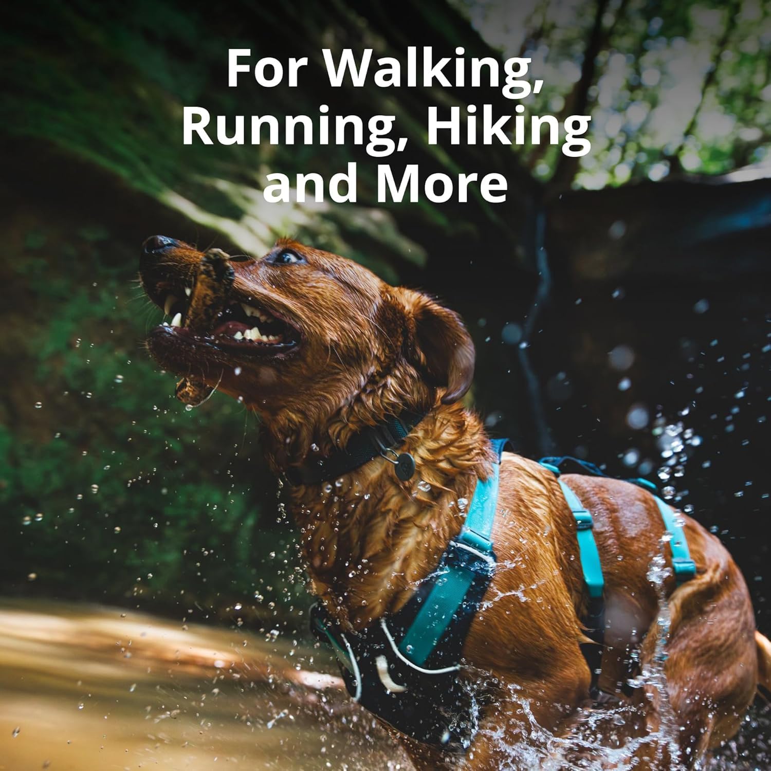 Ruffwear Flagline harness top handle lift enables safe, gentle lifting onto cars or stairs.