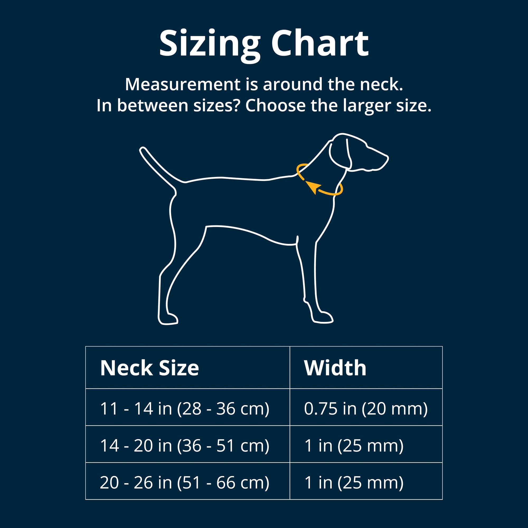 Ruffwear Front Range, anilla de aluminio para conexión fiable bajo lluvia.