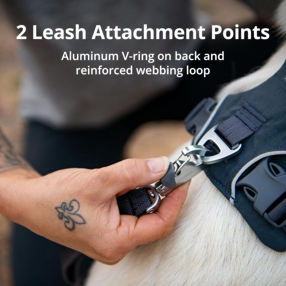 Ruffwear Front Range dedicated Beacon Light loop for added light when needed.