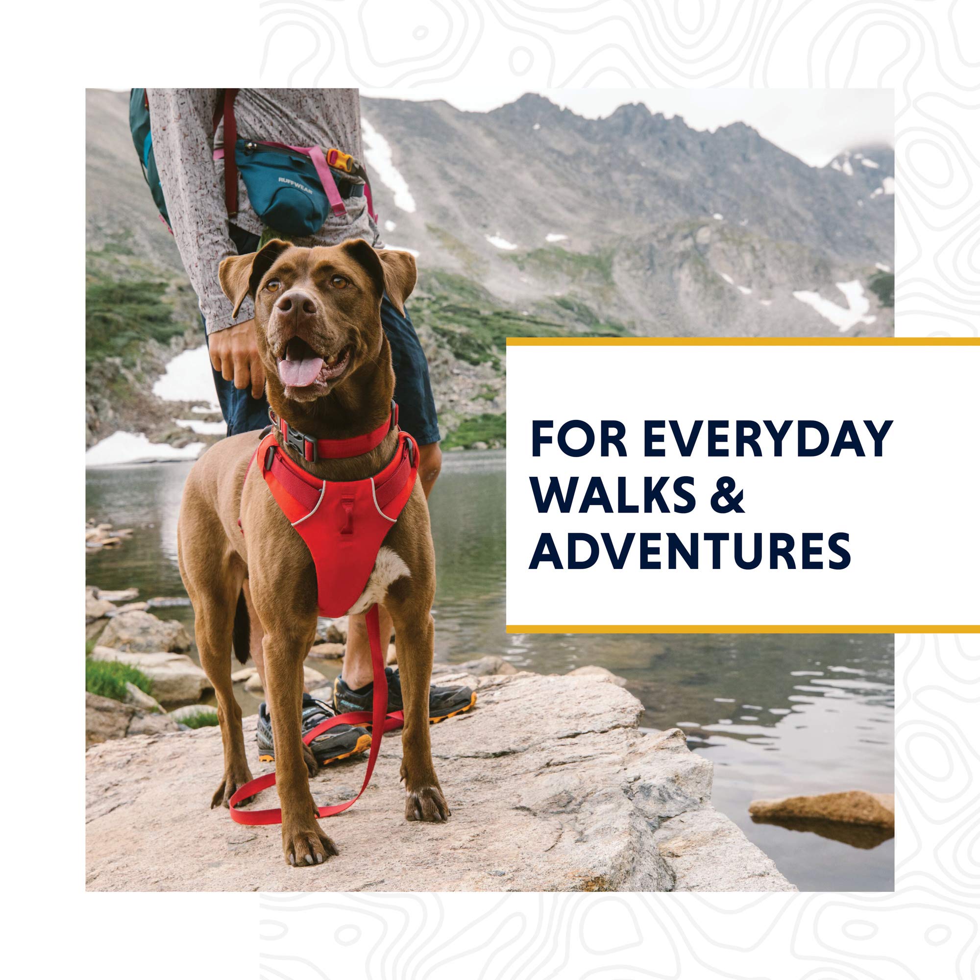 Ruffwear Front Range Collar aluminum V-ring highlights lightweight, rustproof leash connections.