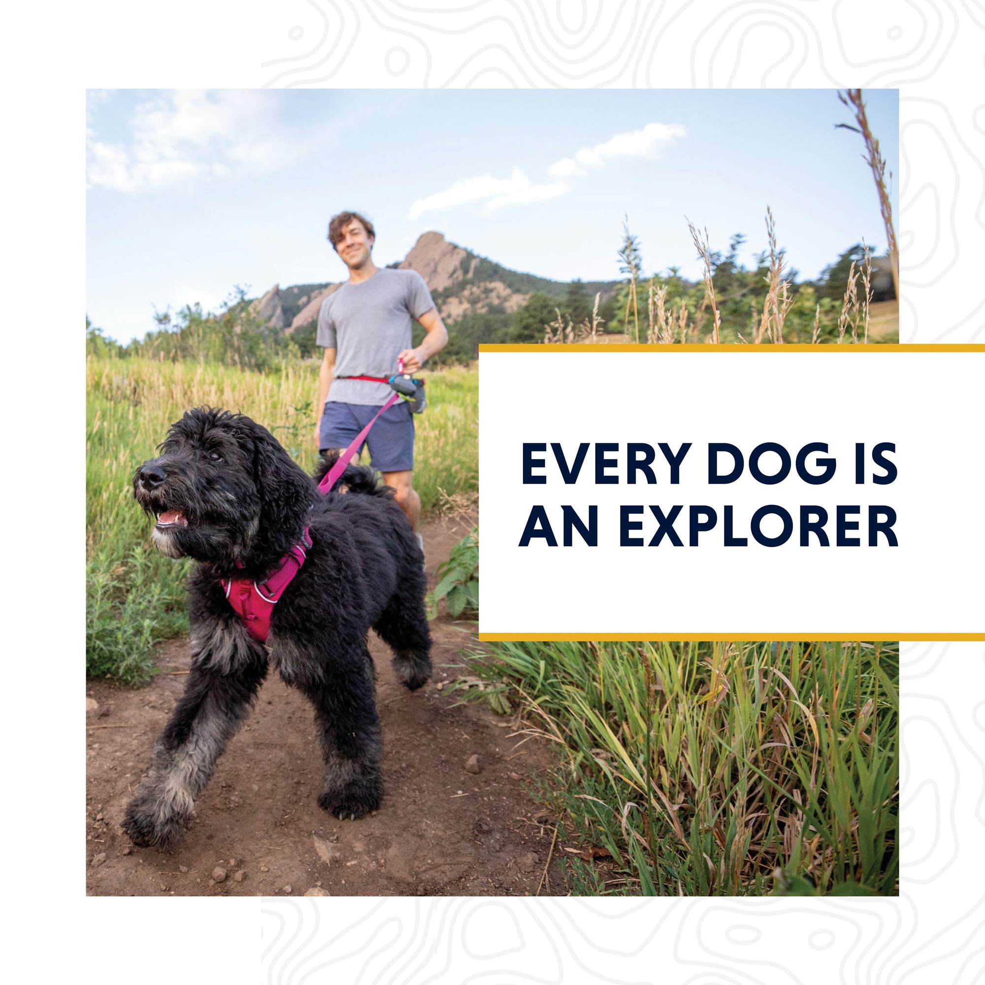 Ruffwear Front Range collar built-in ID attachment for organized walks.
