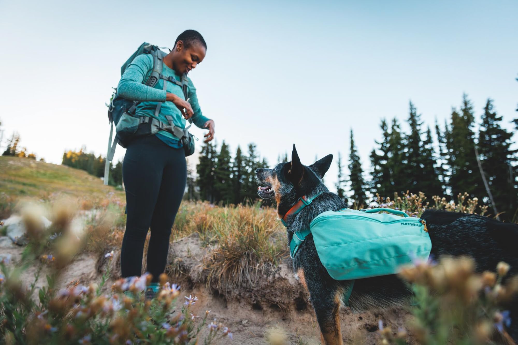 Ruffwear Front Range collar on dog during trail walk with mud-ready durability.