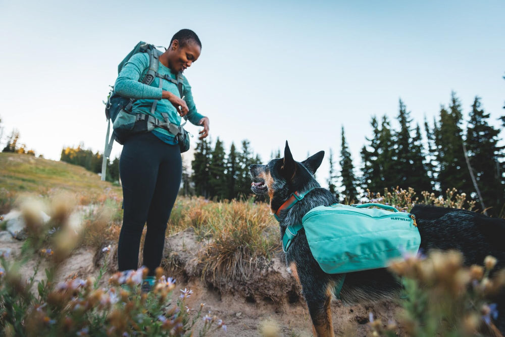 Ruffwear Front Range collar on dog during trail walk with mud-ready durability.
